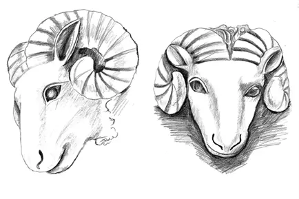 Croquis_tête_du_mouton_n°1.png