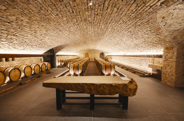 photo_bandeauCave_DOMAINE_DES_LAMBRAYS,_Morey_Saint_Denis__21__Photo2_Credit_Intuive.png